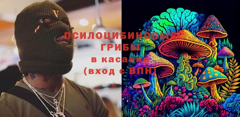 Псилоцибиновые грибы Magic Shrooms  Астрахань 